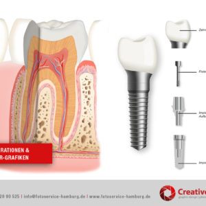 Illustrationen-und-Vektorgrafiken Medizinische Illustrationen